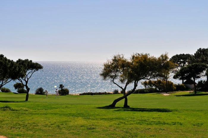 Charming T002 * Vale do Lobo